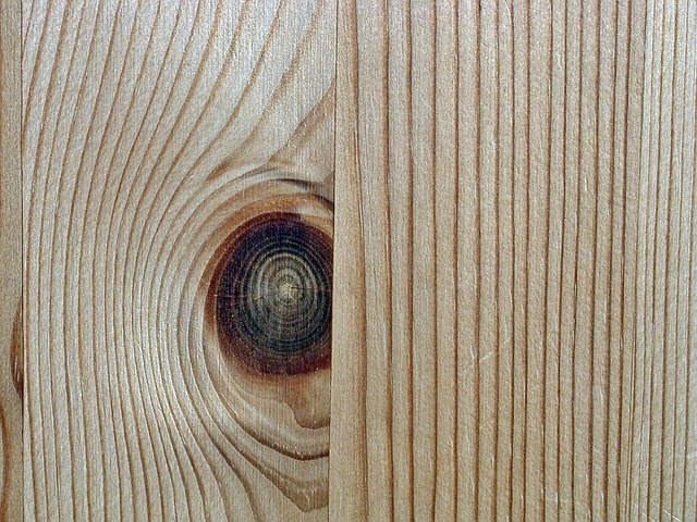 struktura dřeva